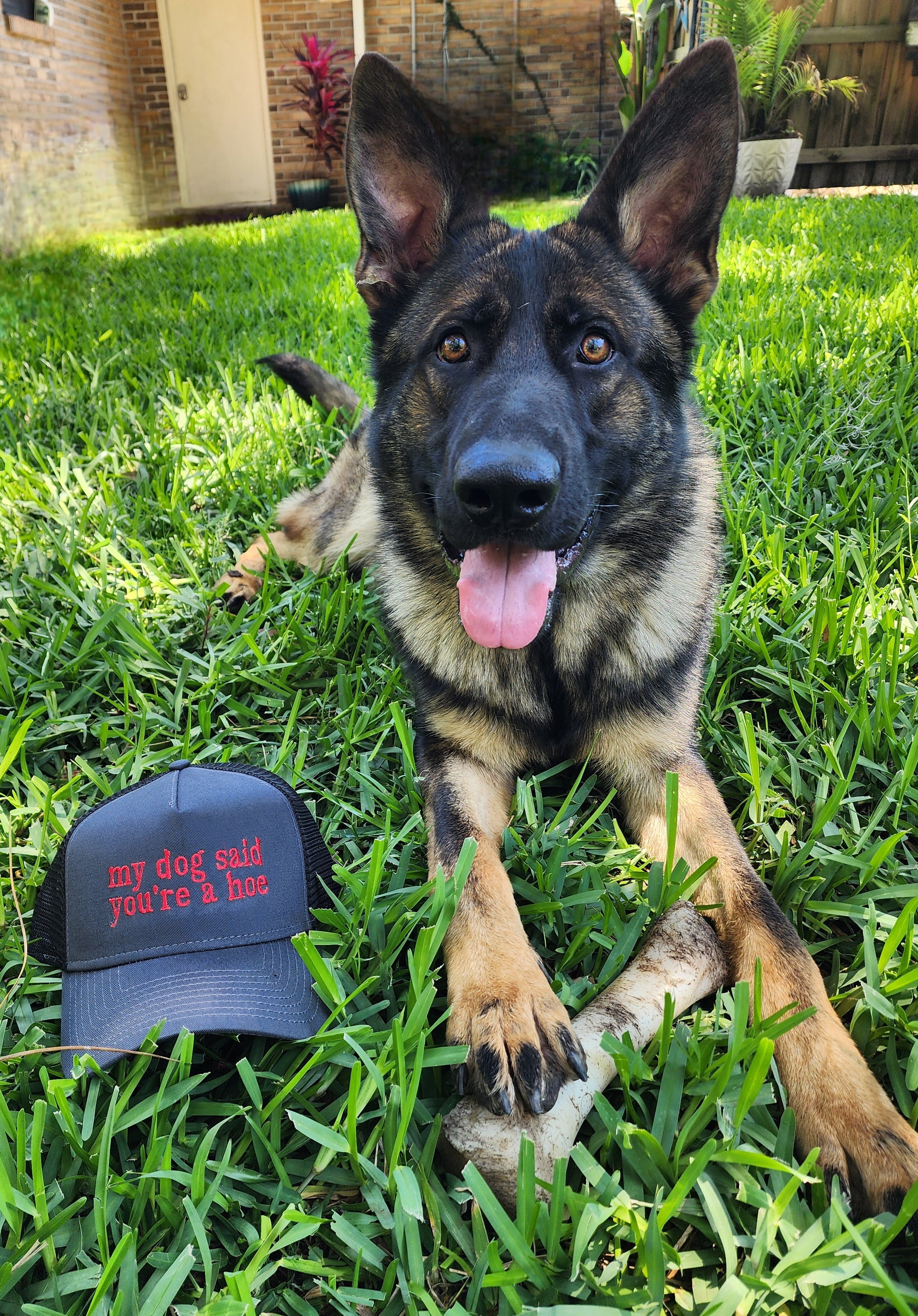 My Dog Said You're a Hoe Embroidered New Era® Snapback Trucker Hat