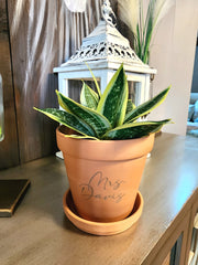 6 Inch Custom Engraved Terracotta Plant Pot with Saucer