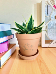 6 Inch Custom Engraved Terracotta Plant Pot with Saucer