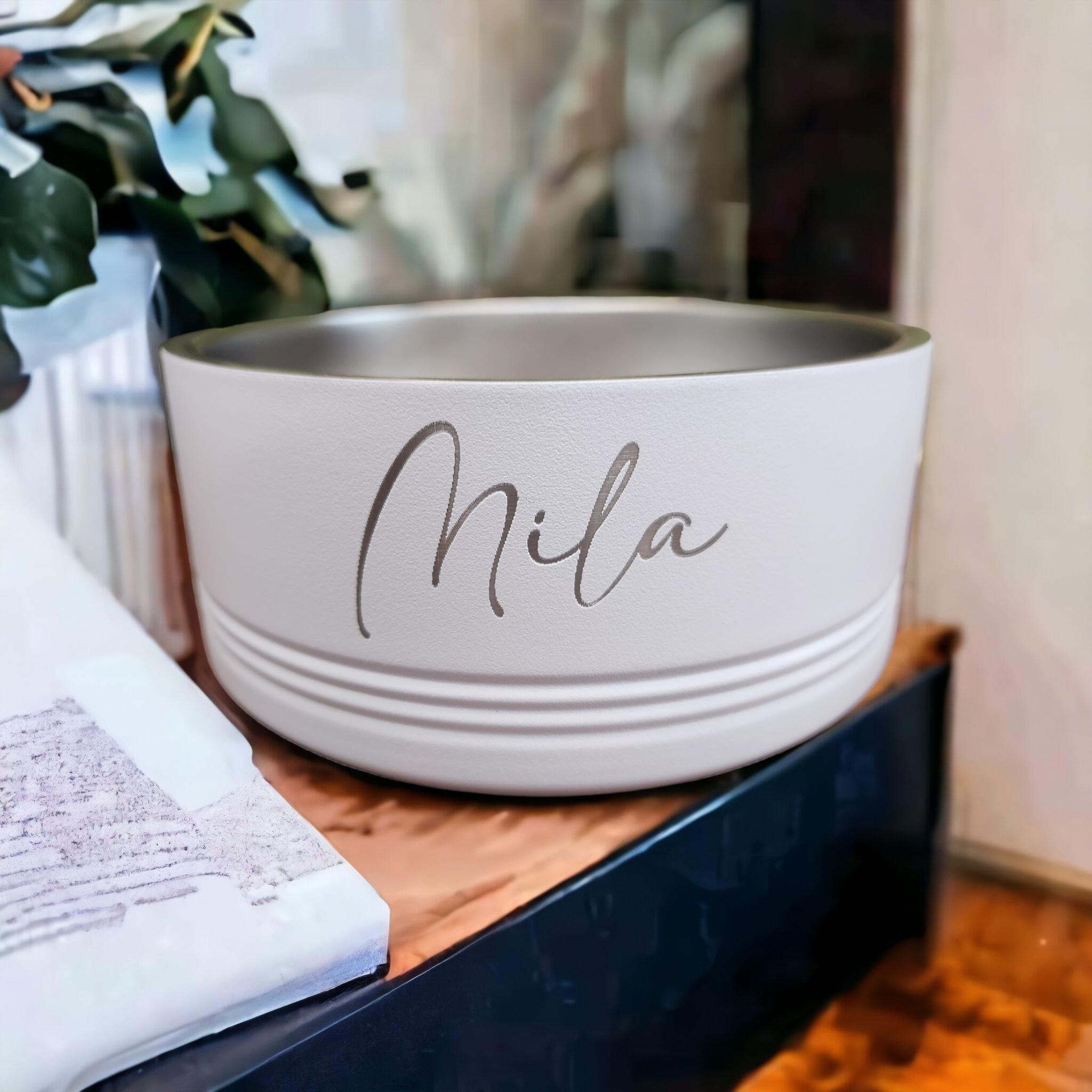 Personalized Stainless Steel Pet Bowl